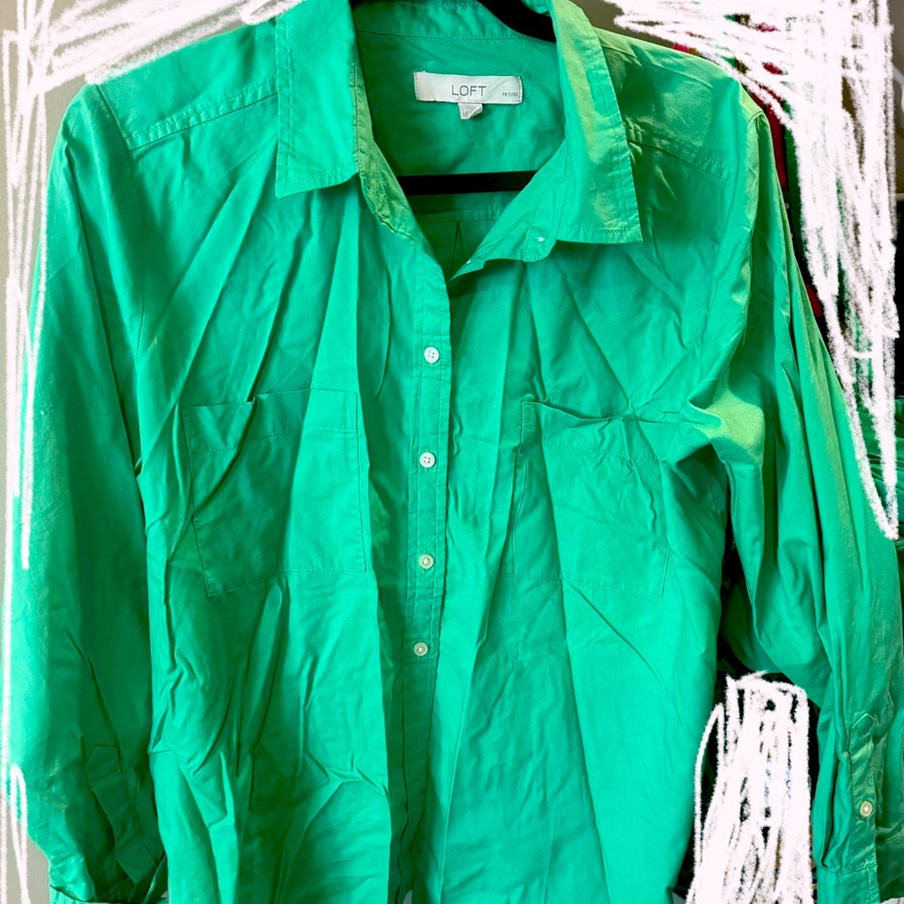 Button down collared shirt
